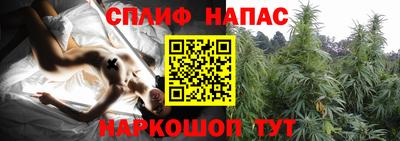 индика Азнакаево