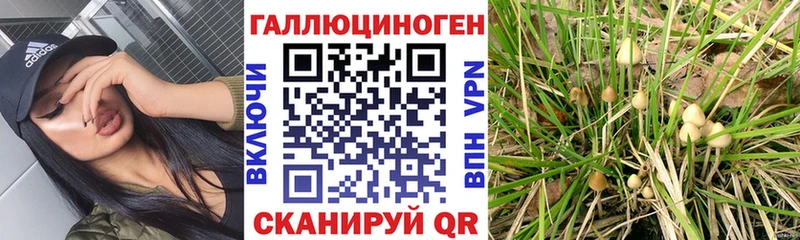 Галлюциногенные грибы Magic Shrooms  закладка  blacksprut рабочий сайт  Стрежевой 