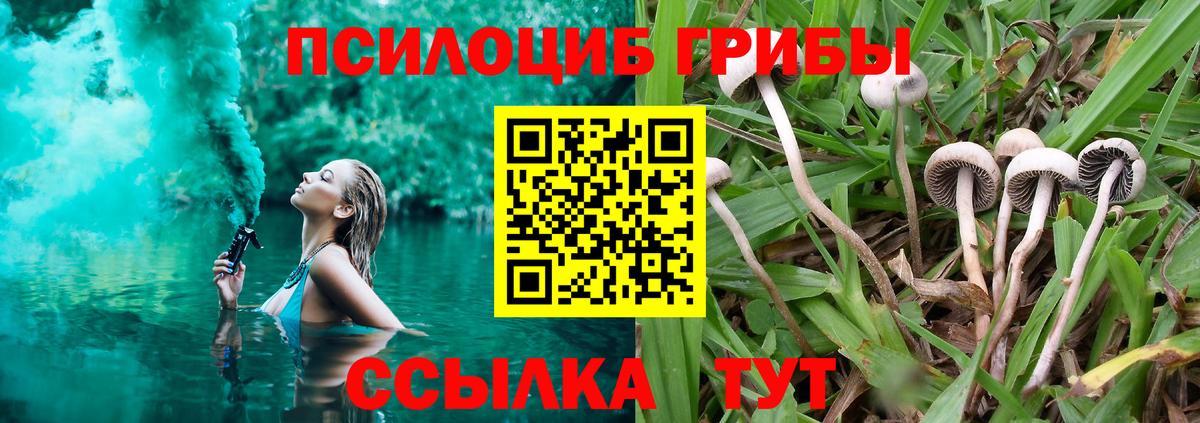 Псилоцибиновые грибы GOLDEN TEACHER Стрежевой