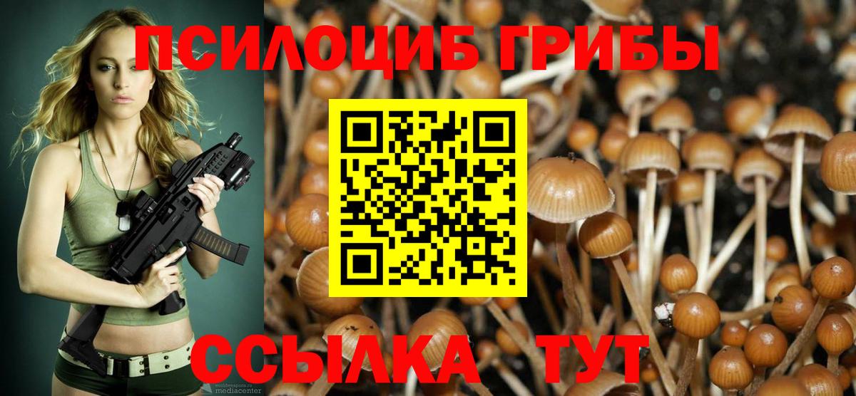 Галлюциногенные грибы GOLDEN TEACHER  Вход с VPN  Стрежевой  Галлюциногенные грибы MAGIC MUSHROOMS 