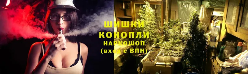 Бошки марихуана SATIVA & INDICA  маркетплейс наркотические препараты  Стрежевой 